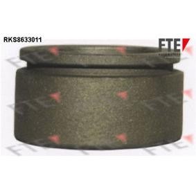 Comprar Émbolo, pinza del freno de FTE RKS8633011 a bajo precio de 27,78 €
