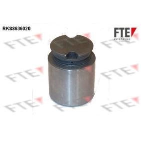 Kolben, Bremssattel RKS8636020 von FTE günstig für 19,43 € online kaufen