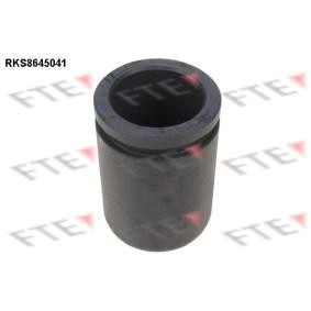 Kolben, Bremssattel RKS8645041 von FTE günstig für 18,23 € online kaufen