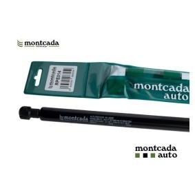 Motorhaubendämpfer RPE014