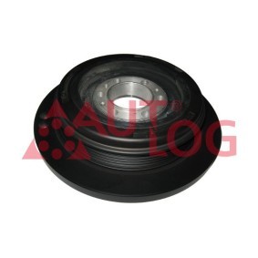 Achetez des Poulie damper (vilebrequin) AUTLOG RT1616 à prix pour 112,17 €