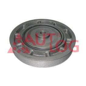 Achetez des Poulie damper (vilebrequin) AUTLOG RT1875 à prix pour 70,50 €