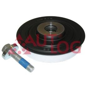 Achetez des Kit poulie damper AUTLOG RT2514 à prix pour 69,30 €