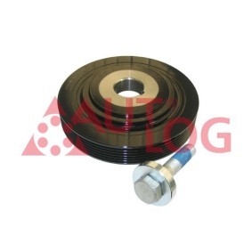 Achetez des Kit poulie damper AUTLOG RT2876 à prix pour 73,94 €