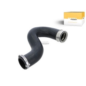 Achetez des Butée d'embrayage SIEGEL AUTOMOTIVE SA3A0011 à prix pour 200,45 €