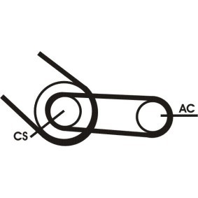 Keilrippenriemensatz von CONTITECH