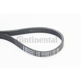 Achetez des Courroie Poly-V CONTITECH 5PK705 ELAST à prix pour 17,48 €