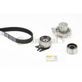 Achetez des Kit de distribution + pompe à eau CONTITECH CT968WP1 à prix pour 169,63 €