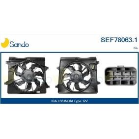 Lenkwinkelsensor SSS76300.1