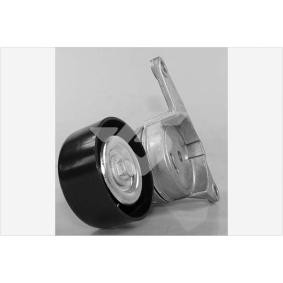 Comprar Polea tensora, correa poli V de HUTCHINSON T0473 a bajo precio de 223,27 €