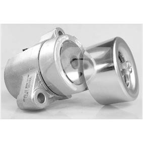 Acquista Rullo tenditore cinghia Poly-V da HUTCHINSON T0493 a buon mercato per soli 256,00 €