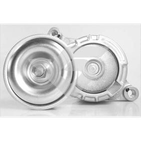 Acquista Rullo tenditore cinghia Poly-V da HUTCHINSON T0497 a buon mercato per soli 216,25 €