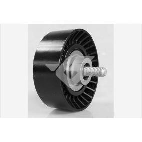 Comprar Polea inversión / guía, correa poli V de HUTCHINSON T0528 a bajo precio de 20,51 €