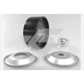 Comprar Polea inversión / guía, correa poli V de HUTCHINSON T0534 a bajo precio de 67,51 €