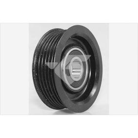 Comprar Polea inversión / guía, correa poli V de HUTCHINSON T0535 a bajo precio de 55,80 €