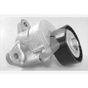 Acquista Rullo tenditore cinghia Poly-V da HUTCHINSON T0555 a buon mercato per soli 89,64 €