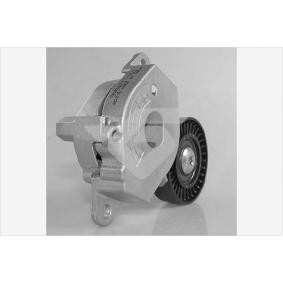 Comprar Polea tensora, correa poli V de HUTCHINSON T0579 a bajo precio de 229,09 €
