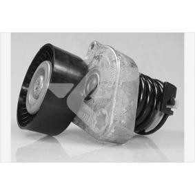 Comprar Polea tensora, correa poli V de HUTCHINSON T0606 a bajo precio de 153,69 €