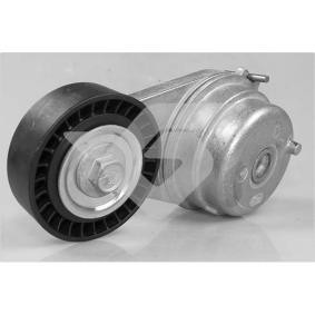 Comprar Polea tensora, correa poli V de HUTCHINSON T0613 a bajo precio de 68,71 €