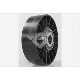 Comprar Polea inversión / guía, correa poli V de HUTCHINSON T0628 a bajo precio de 54,51 €