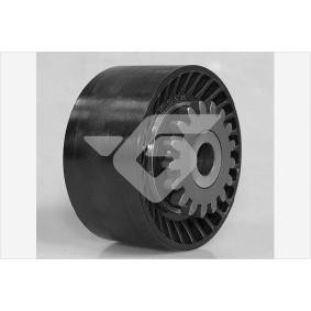 Comprar Polea inversión / guía, correa poli V de HUTCHINSON T0629 a bajo precio de 56,90 €