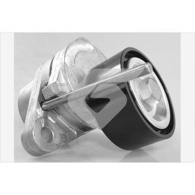 Acquista Rullo tenditore cinghia Poly-V da HUTCHINSON T0671 a buon mercato per soli 137,77 €