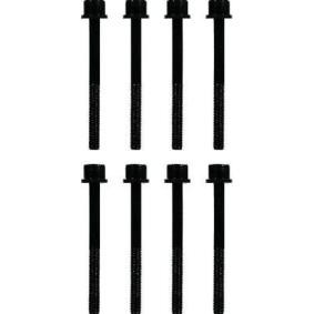 Zylinderkopfschraubensatz T84876-00