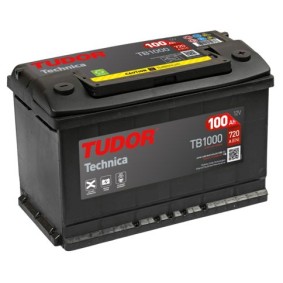 Batterie TB1000