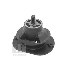 Motorlager TED40521