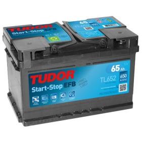 LDV Batterie von TUDOR