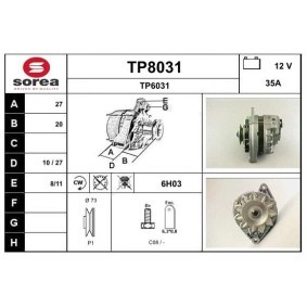 Lichtmaschine TP8031