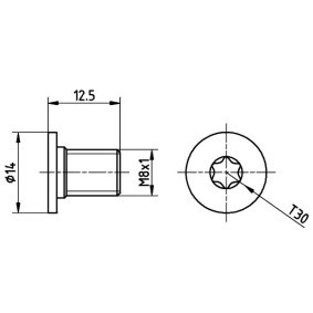 Schraube, Bremsscheibe TPM0002