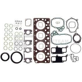 Dichtungsvollsatz, Motor TS0011