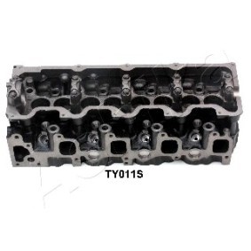 Compre Cabeça do motor da ASHIKA TY011S a um preço baixo por 506,10 €