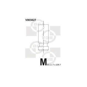 Auslaßventil V003427