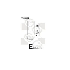 Auslaßventil V004304