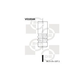 Comprar Válvula de admisión de BGA V018344 a bajo precio de 9,13 €