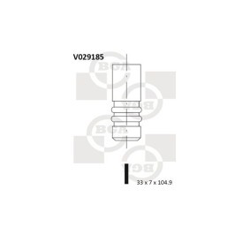 Acquista Valvola di aspirazione da BGA V029185 a buon mercato per soli 8,80 €