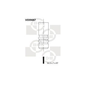 Auslaßventil V039487
