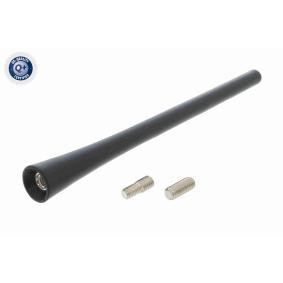 Antenne V10-22-0002