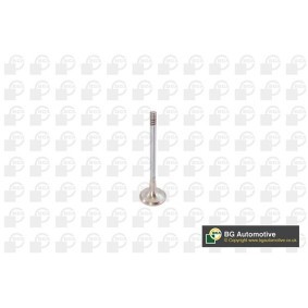 Compre Válvula de drenagem da BGA V142050 a um preço baixo por 11,71 €