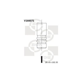 Compre Válvula de drenagem da BGA V166071 a um preço baixo por 8,07 €