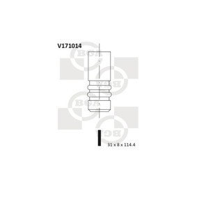Compre Válvula de drenagem da BGA V171014 a um preço baixo por 13,03 €
