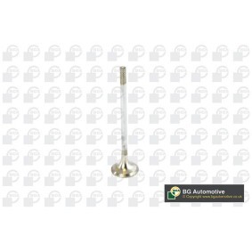 Compre Válvula de drenagem da BGA V236820 a um preço baixo por 9,10 €