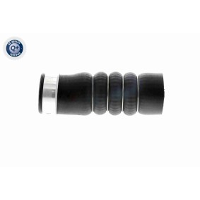 Comprar Cárter de transmisión automática de VAICO V38-0272 a bajo precio de 79,61 €