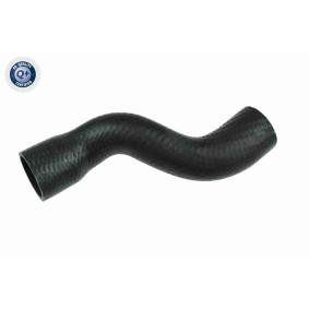 Ladeluftschlauch von VAICO für Astra Mk III (F) CC (T92) günstig online kaufen