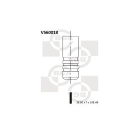 Auslaßventil V560018