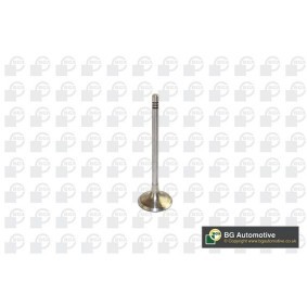 Comprar Válvula de admisión de BGA V591701 a bajo precio de 9,33 €