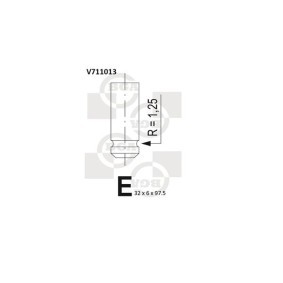 Einlaßventil V711013
