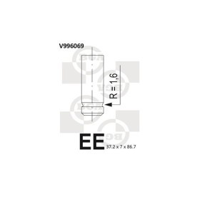 Einlaßventil V996069